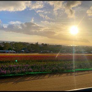 Meet your Posher, Marisol